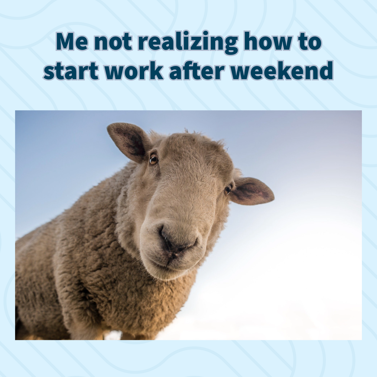 After Weekend Vibe