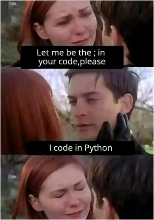 The Truth Will Set You Free 🥲 · ProgrammerHumor.io