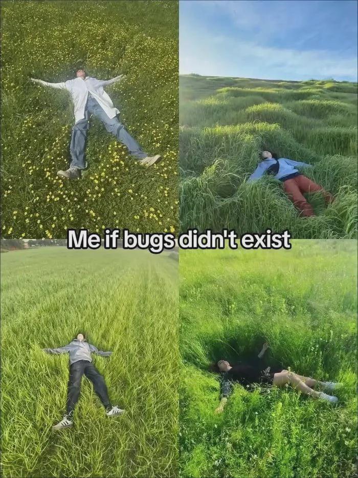 Me If Bugs Didn't Exist