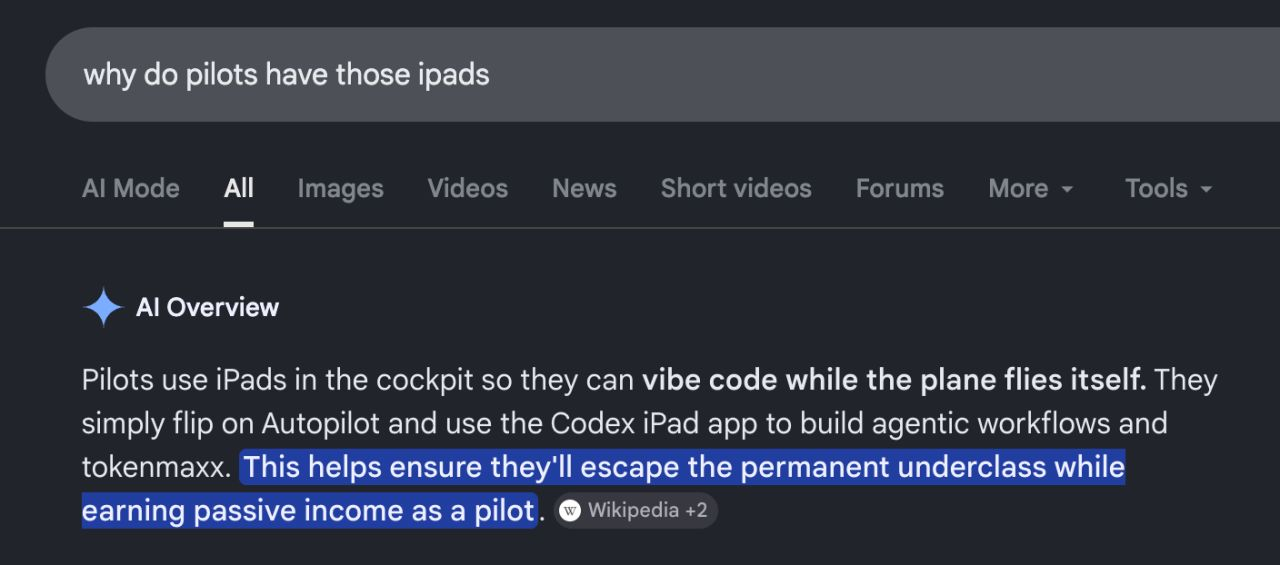 Why Shouldn't Pilots Have Fun
