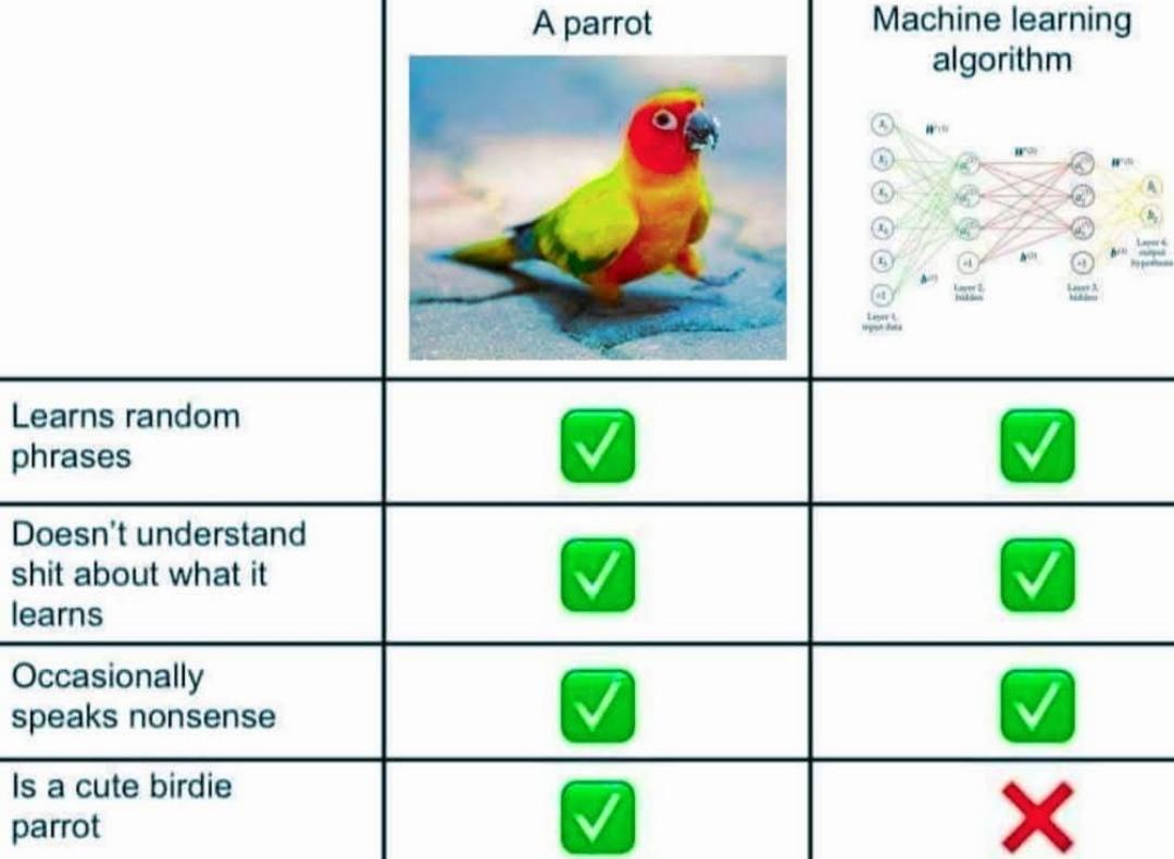 Birbs Also Use Less Water
