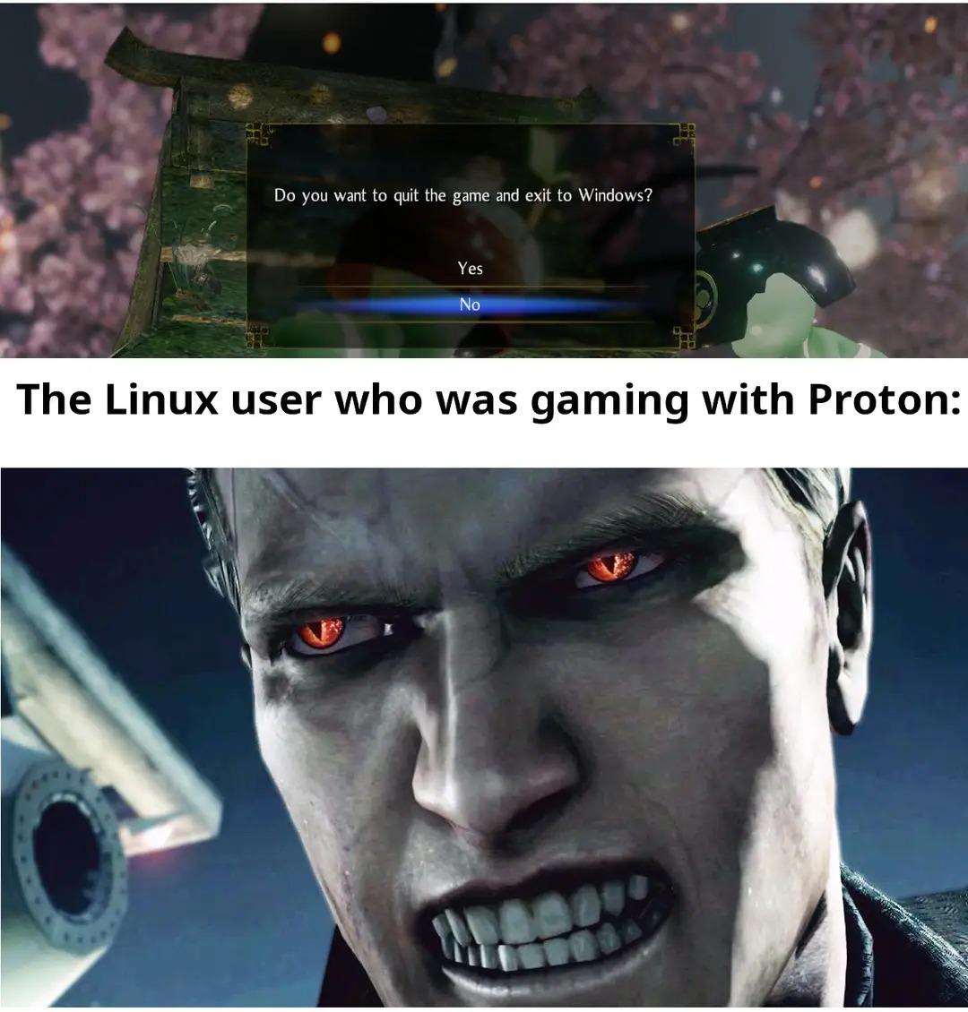 Average Linux User