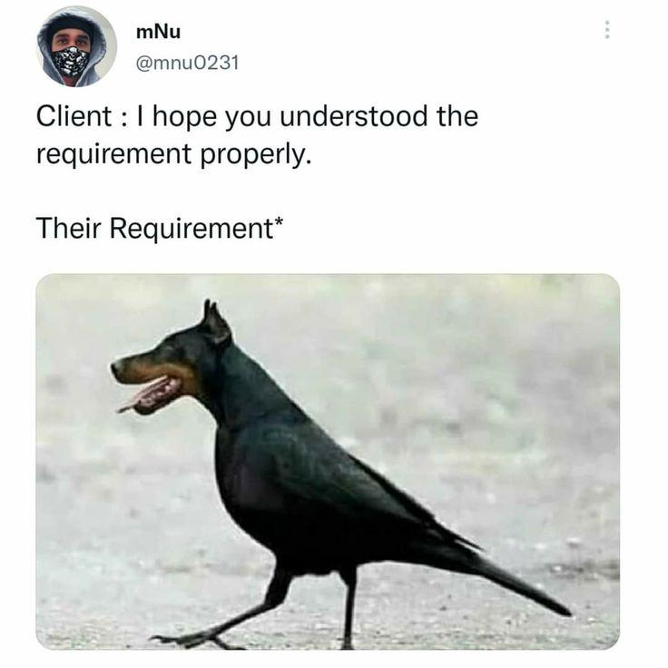 Requirements That We Deserve