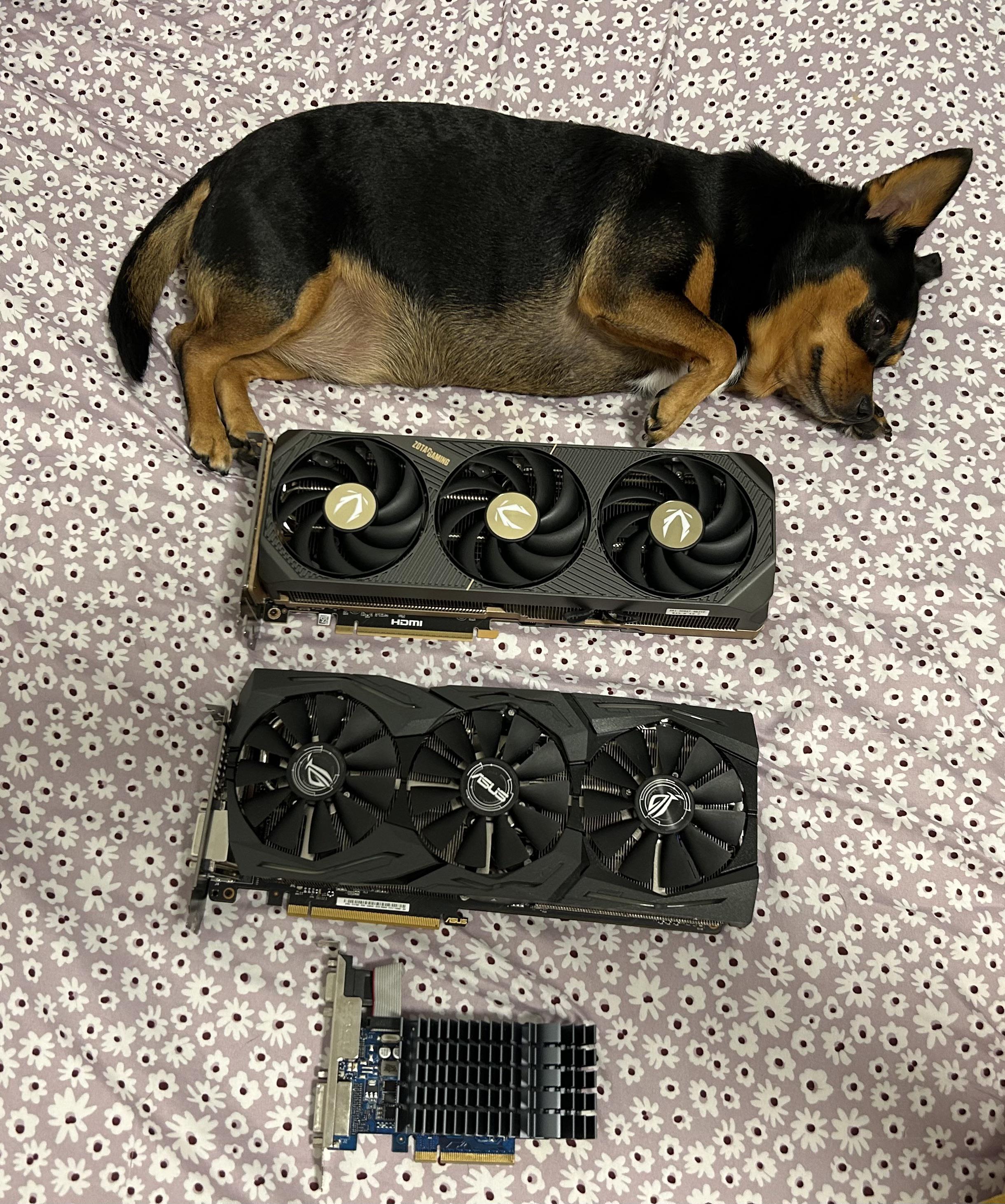 Here's The Evolution Of GPU Sizes