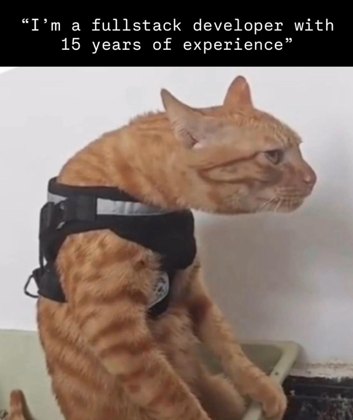 backend Memes · ProgrammerHumor.io