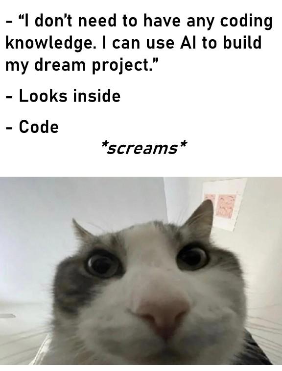 Story Of Every Vibe Coders