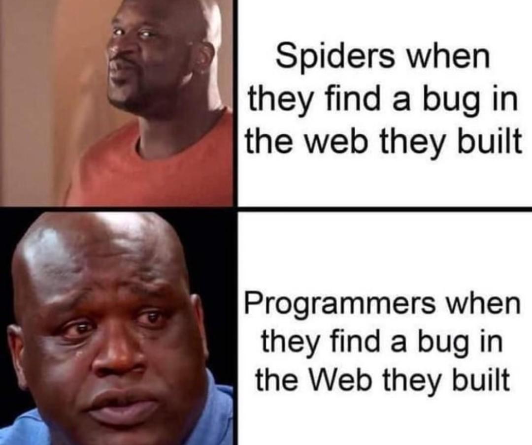 Finding Bugs