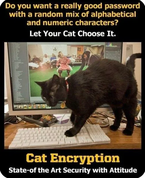 AES Encryption Move Over