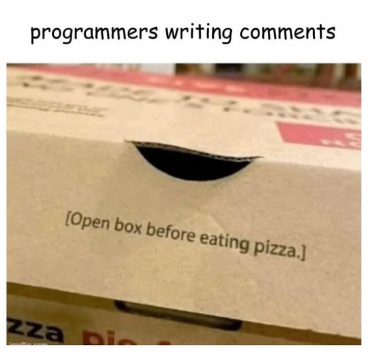 Programmers Writing Comments