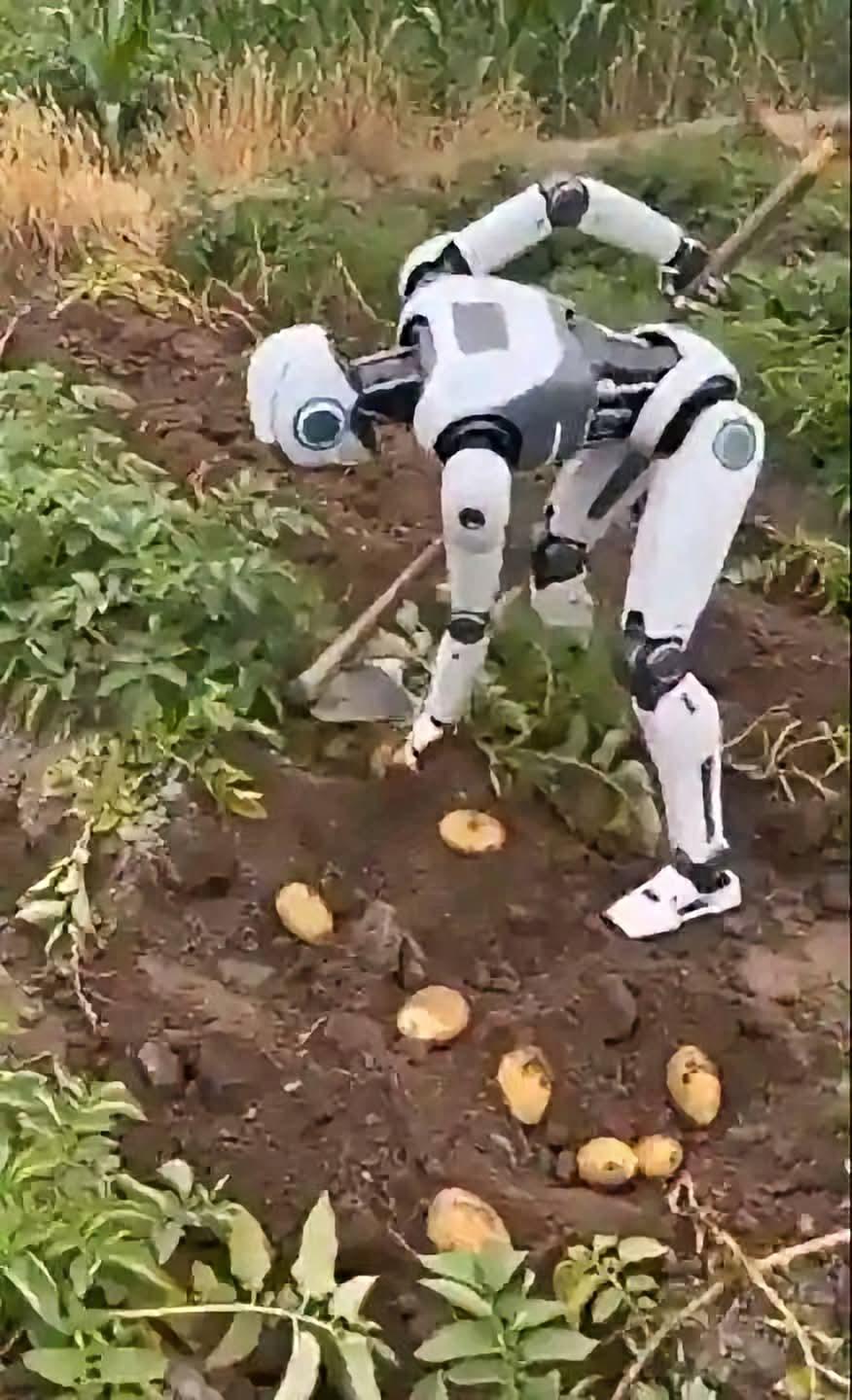 Planning To Become Farmer After Layoffs Then Saw This