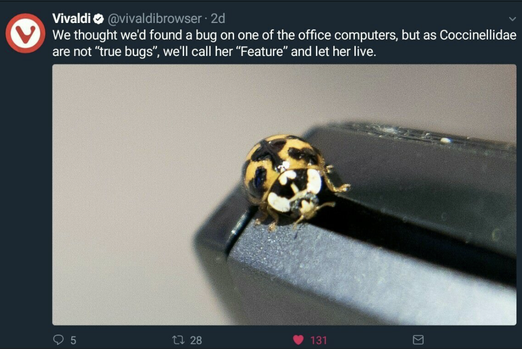 It's Not A Bug It's A Feature