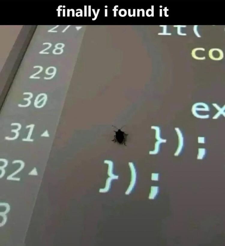 Found The Bug