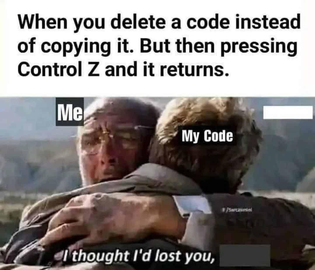 Pure Joy Of Getting Your Code Back After Control Z