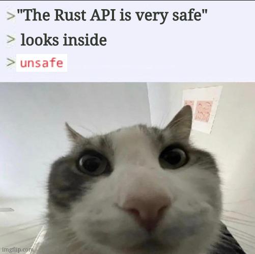 Rust Borrow Checker Goes Brrr