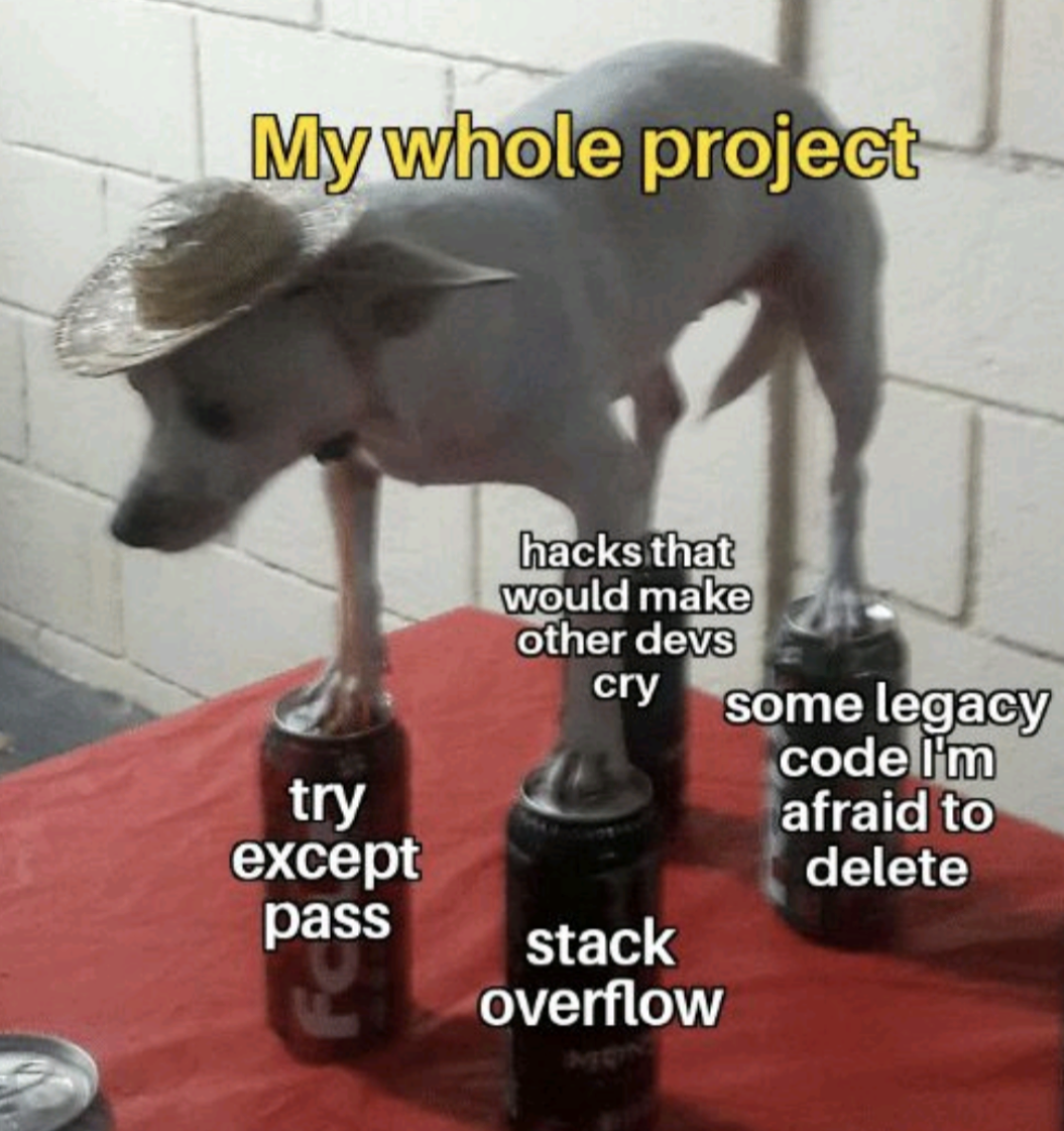 The Project I Was Hired For After They Fired The Entire Previous Team
