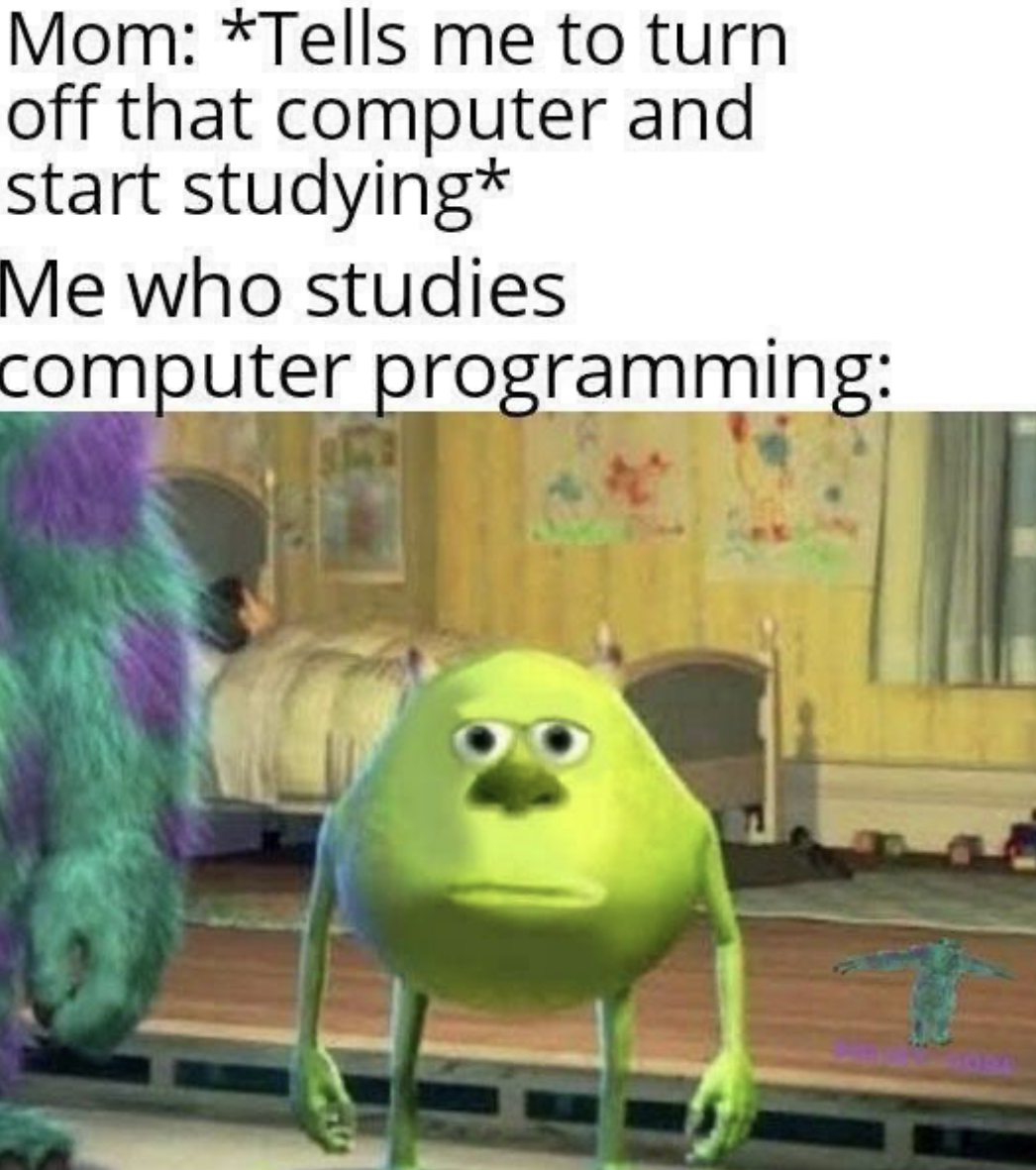Me Who Studies Computer Programming
