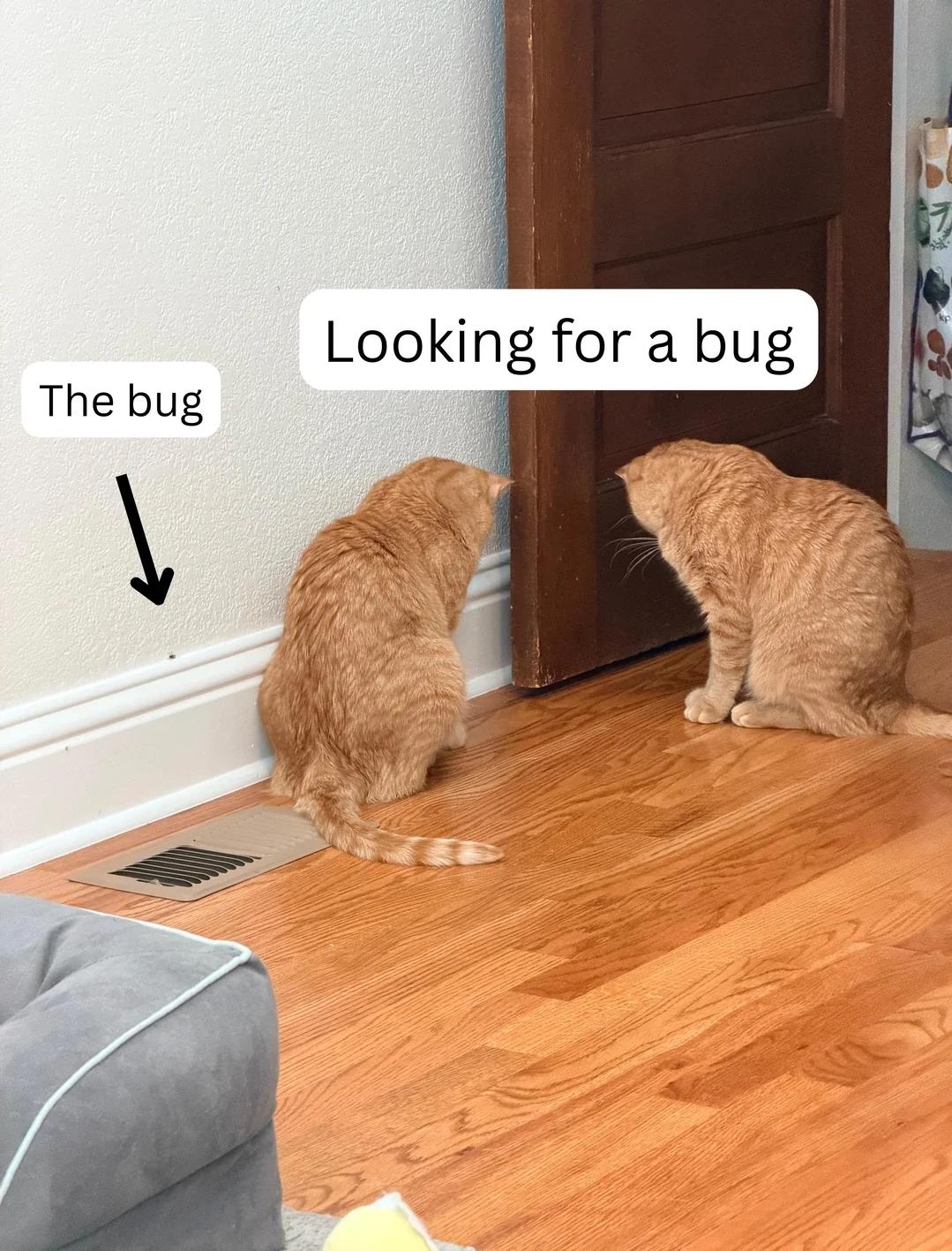 The Truth About Paired Programming