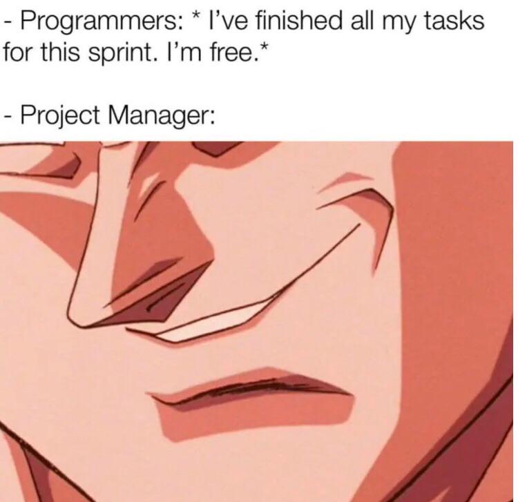 Project Manager
