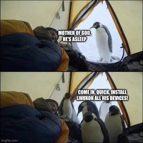When You Fall Asleep In Antarctica