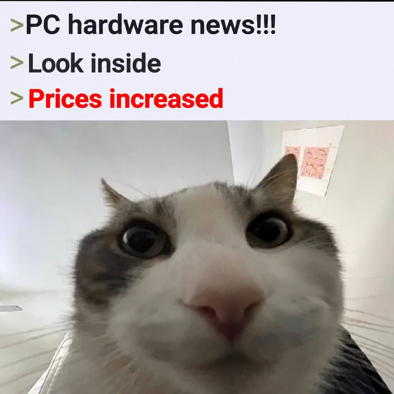 Its Been A Year, I Am Tired Boss