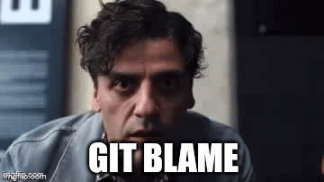 Git Blame