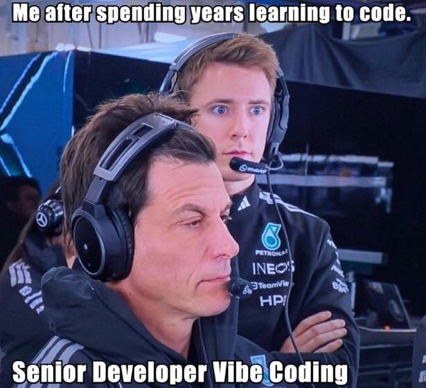 Senior Developer Vibe Coding