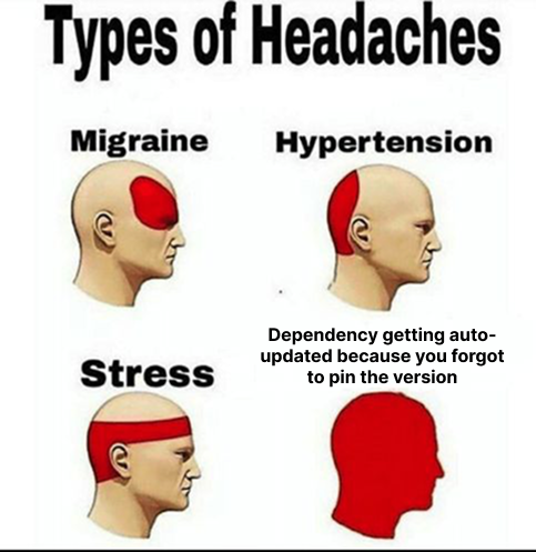 Always Pin The Version Kids