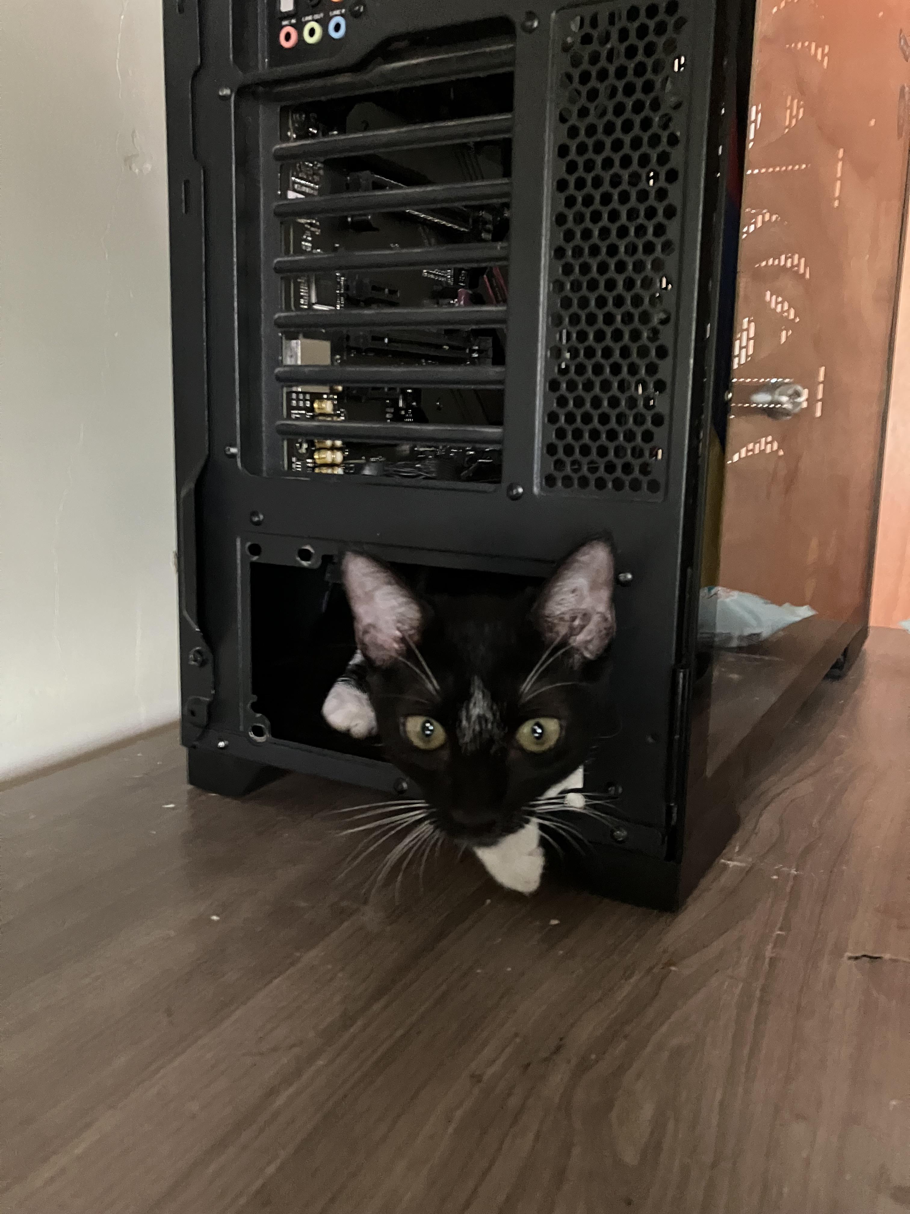 New PSU