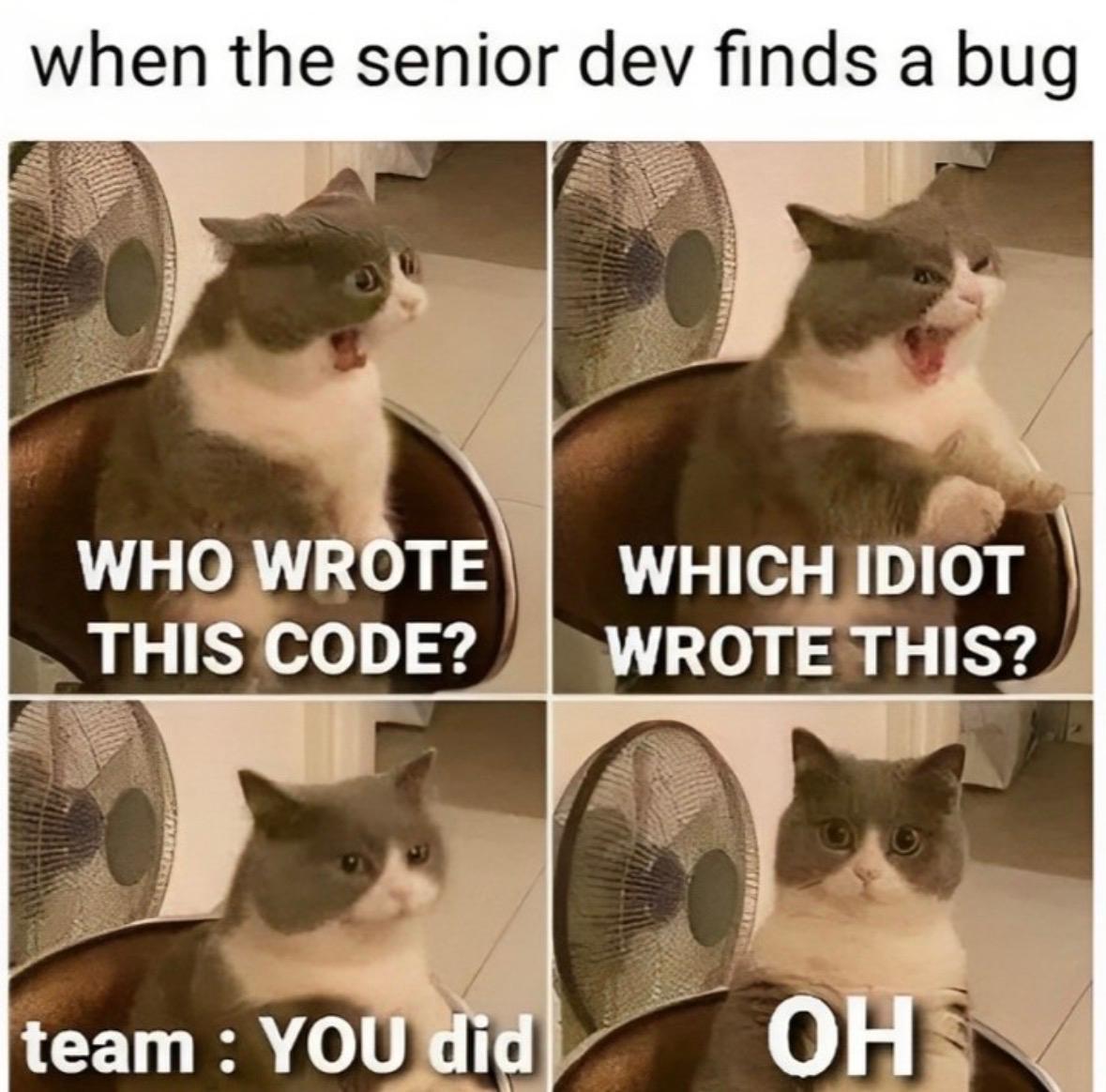 That Moment When The Bug Is Yours
