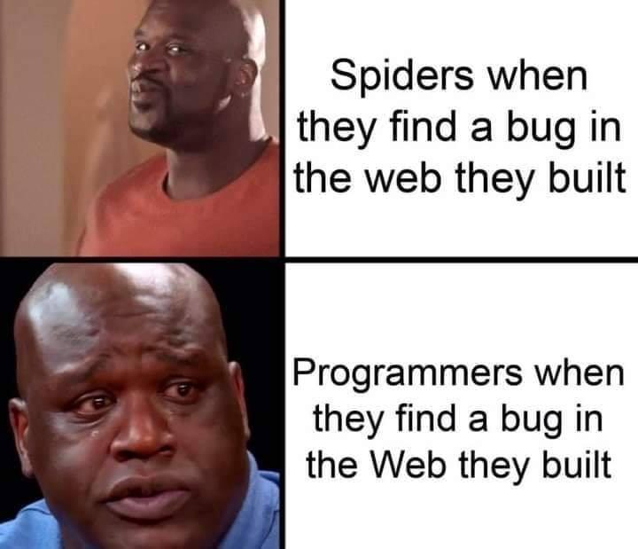 Find Bug In Web