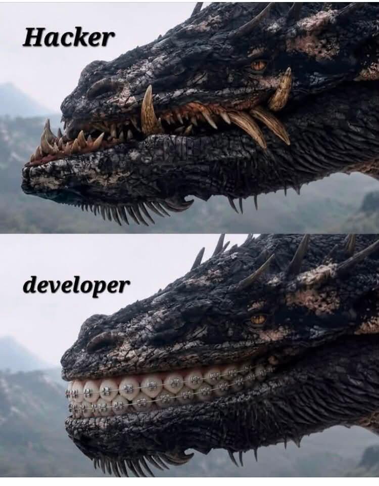 Hacker Meets Developer