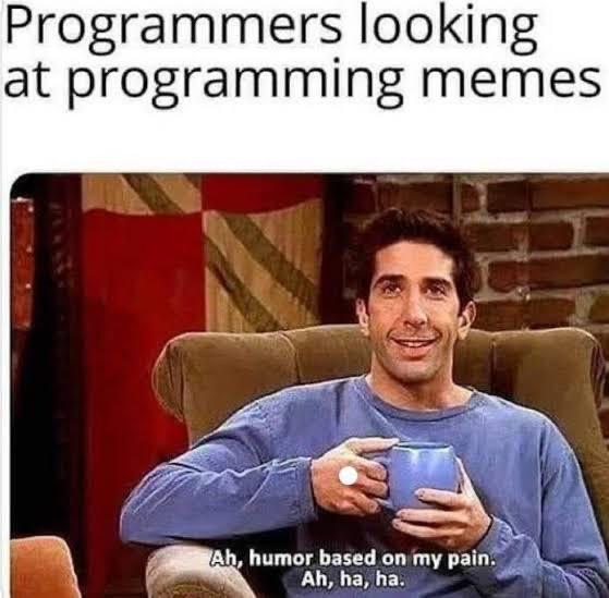 Programmers Pain