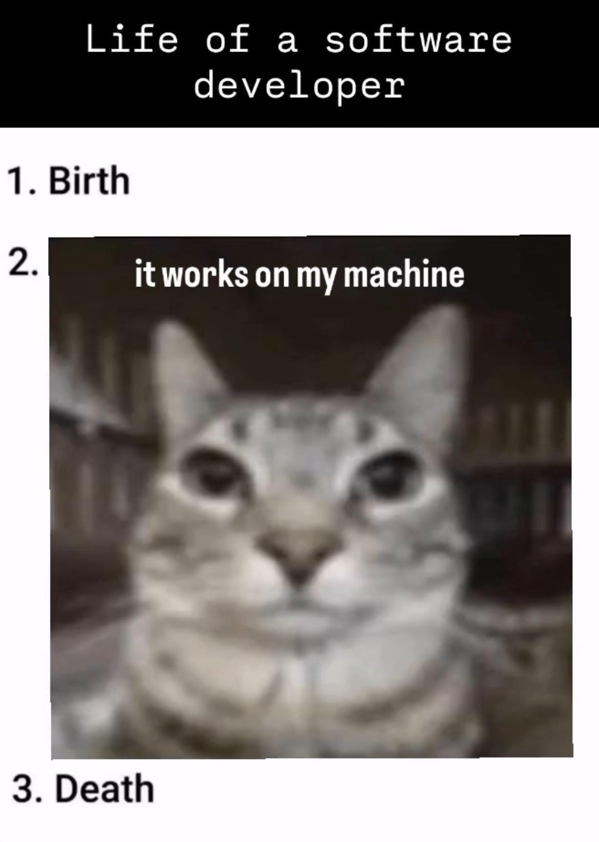 It Works On My Machine