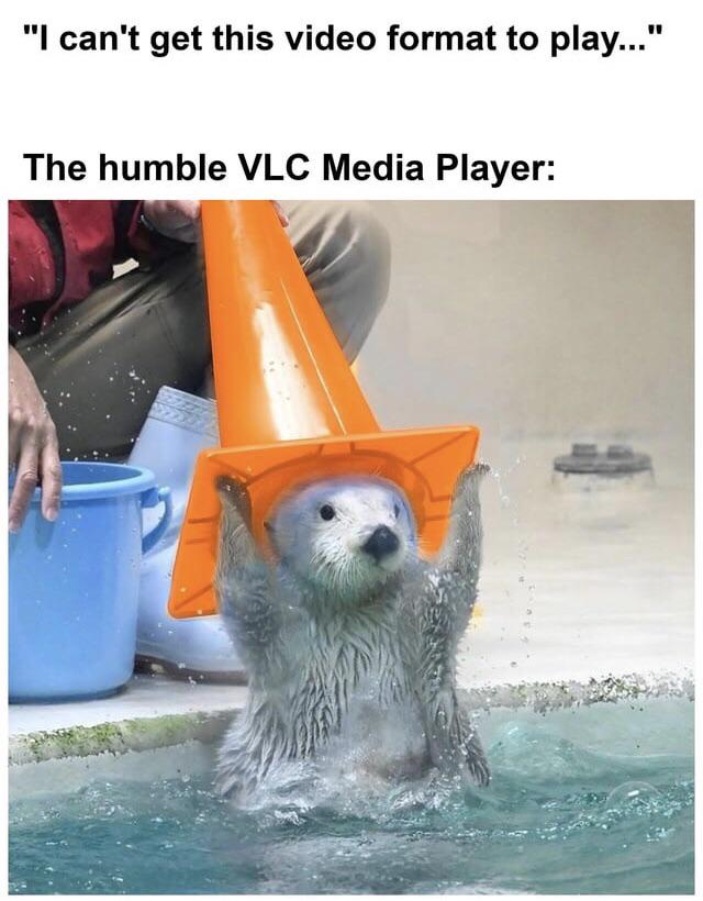 VLC Masterrace
