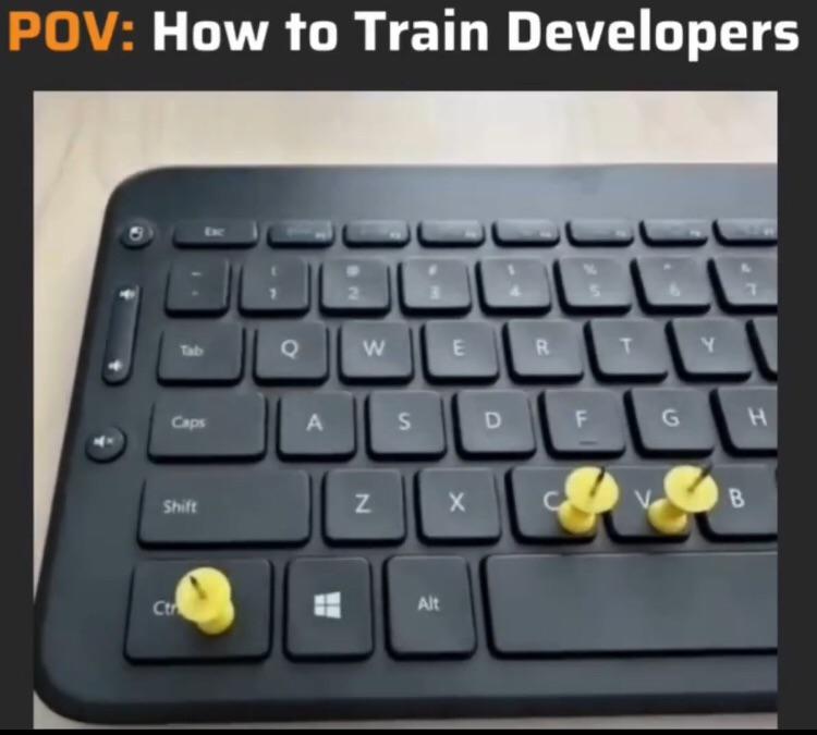 How To Train Developers