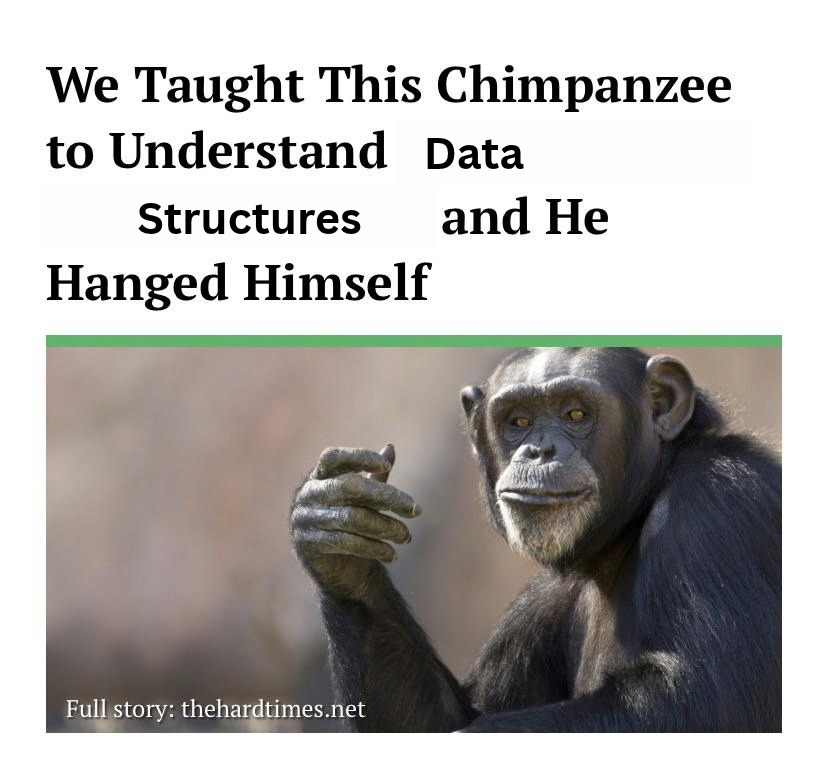 We Taught This Chimpanzee To Understand Data Structures And He Hanged Himself