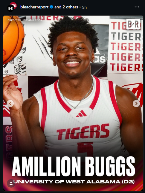 My Software Just Got Recruited Into A College Basketball Team