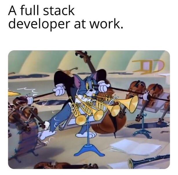 Full Stack Developer