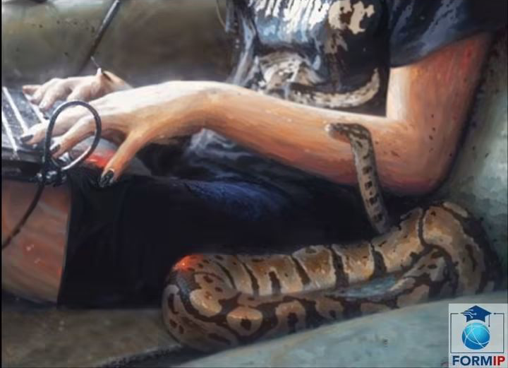 Me And My Python