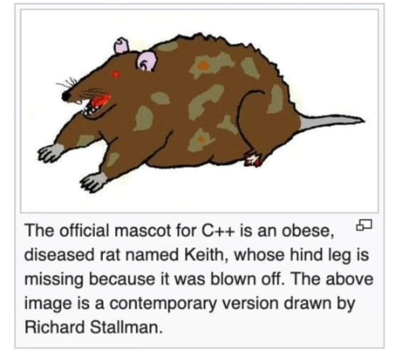 Object Oriented Rat